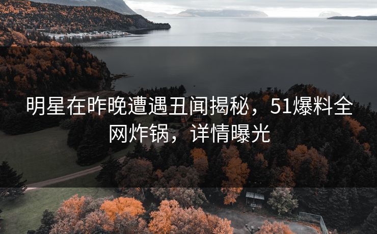 明星在昨晚遭遇丑闻揭秘，51爆料全网炸锅，详情曝光  第1张