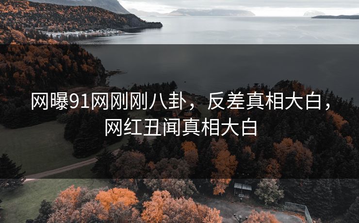 网曝91网刚刚八卦，反差真相大白，网红丑闻真相大白  第1张