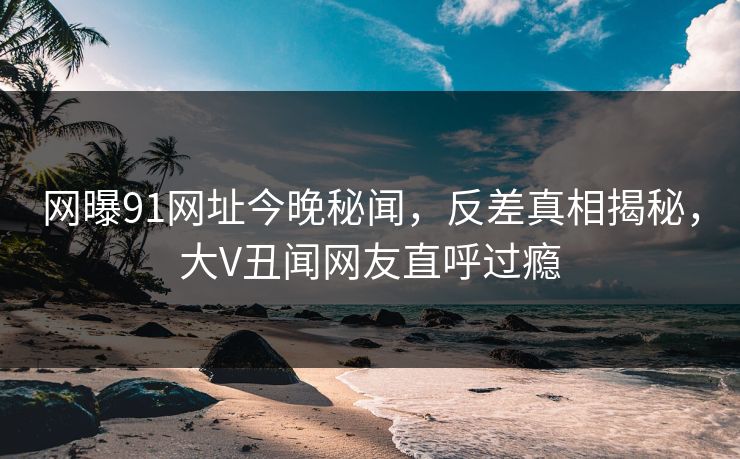 网曝91网址今晚秘闻，反差真相揭秘，大V丑闻网友直呼过瘾