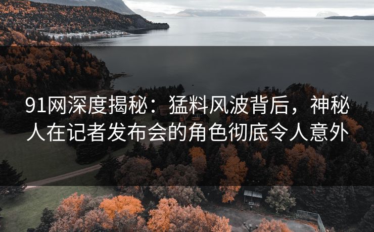 91网深度揭秘：猛料风波背后，神秘人在记者发布会的角色彻底令人意外