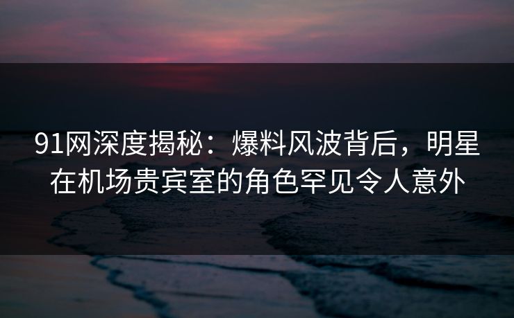 91网深度揭秘：爆料风波背后，明星在机场贵宾室的角色罕见令人意外  第1张