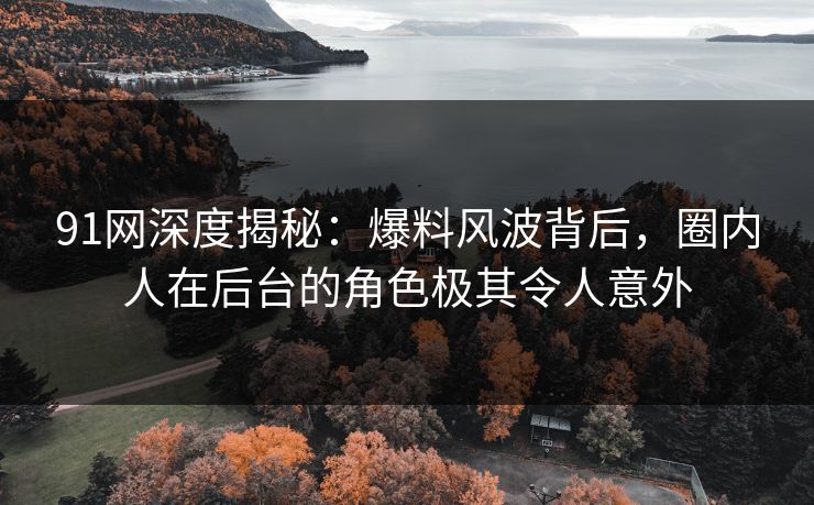91网深度揭秘：爆料风波背后，圈内人在后台的角色极其令人意外  第1张