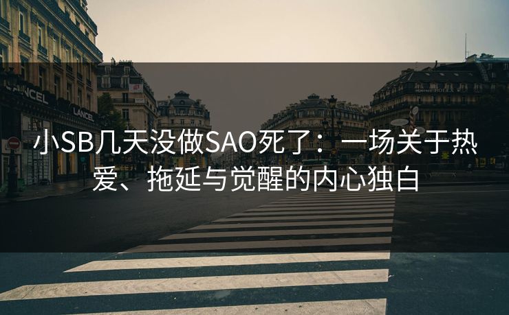 小SB几天没做SAO死了：一场关于热爱、拖延与觉醒的内心独白  第1张
