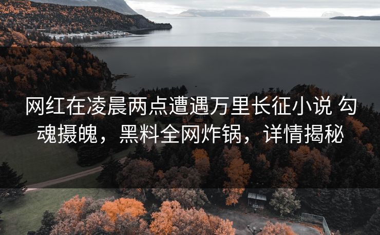 网红在凌晨两点遭遇万里长征小说 勾魂摄魄，黑料全网炸锅，详情揭秘
