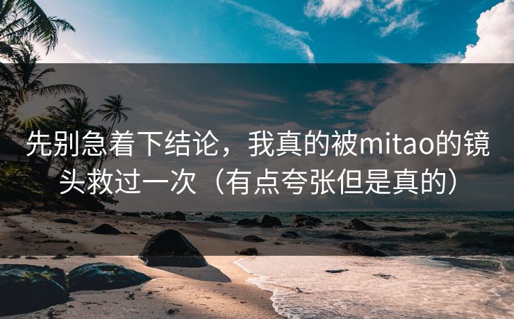 先别急着下结论,我真的被mitao的镜头救过一次(有点夸张但是真的)